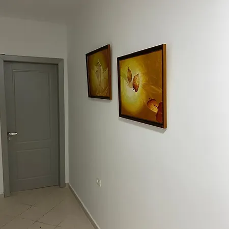 Noel * Saranda